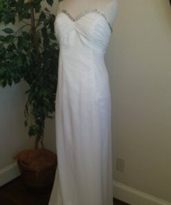 plus size evening gowns