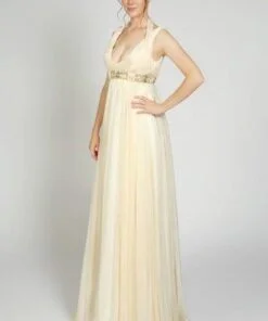 Sleeveless Maternity Evening Dresses from The Darius Collection