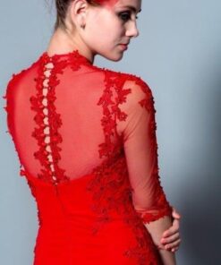 elegant red worked wedding dresses