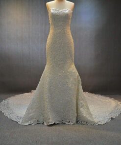 wedding gowns with alencon lace