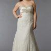 empire waist lace wedding gowns for plus size brides