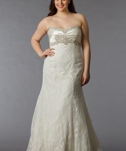 empire waist lace wedding gowns for plus size brides