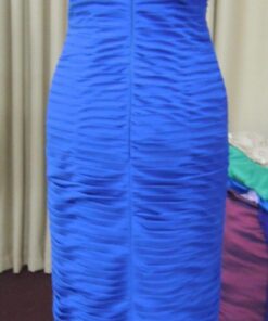 Blue back zipped eveing dress at Darius Cordell