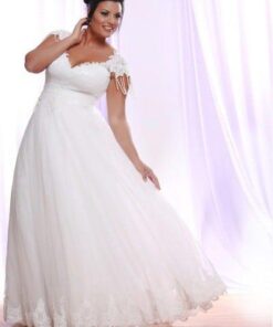 Darius Cordell Silk Tulle Plus Size Wedding Dress with Cap Sleeves