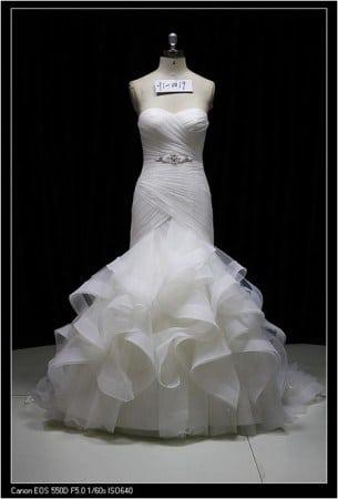 DARIUS COUTURE
