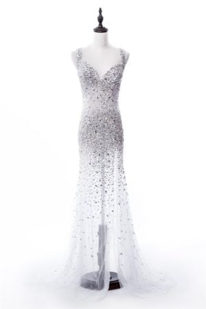 Silver Sheer Pageant Gowns with Rhinestones - Darius Cordell