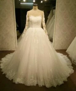 Sheer long sleeve traditional lace wedding gowns
