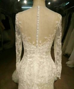 Style#CBaird  IllusionbackweddingdresswithbuttonsbyDariusCordell