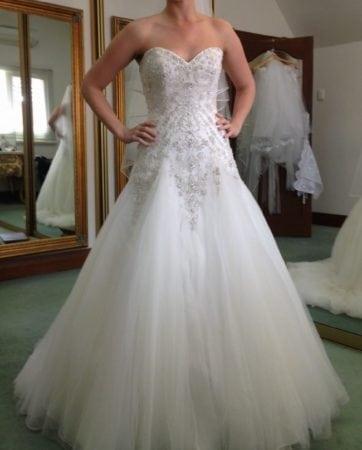 DARIUS COUTURE