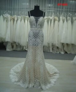 Fitted Wedding gowns