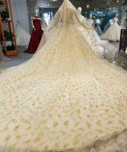 FB1201-2 Long wedding gown trains from darius cordell