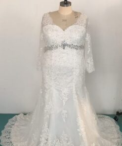 C2018TanyaS - Long sleeve plus size lace wedding gown from Darius Cordell