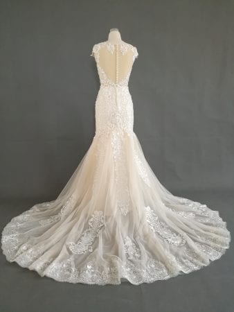 DARIUS COUTURE