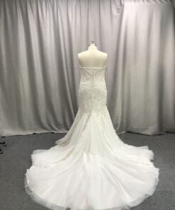 C2020-WCromwell - plus size wedding dress with train from darius cordell