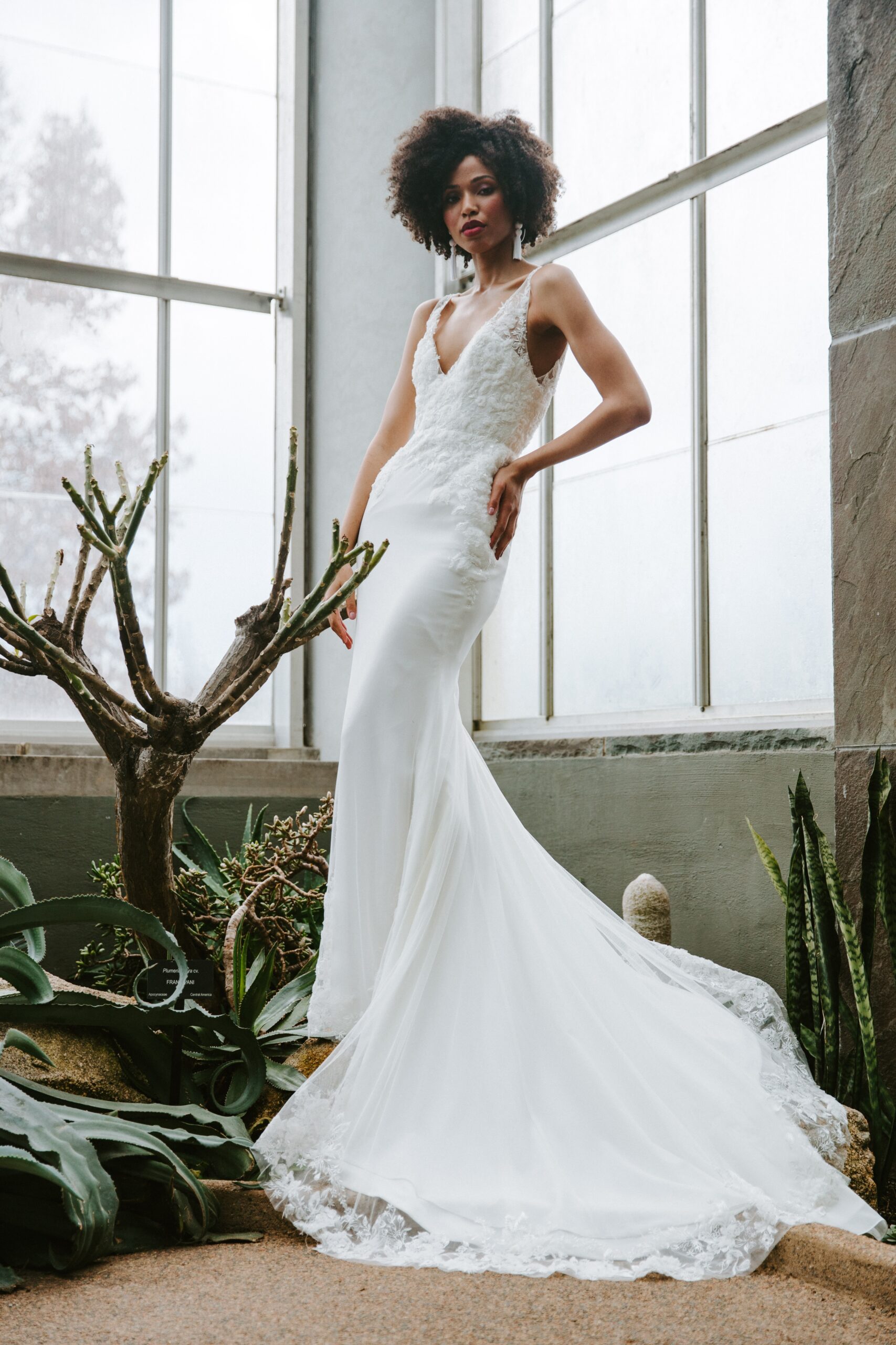v-neck lace custom wedding dress