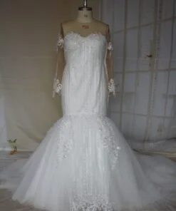 C2021-shermain - Long sleeve plus size wedding gown with sheer illusion neckline from Darius Cordell