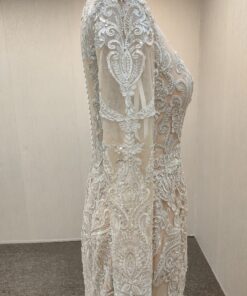C2021-MHidalgo sheer beadedlong sleeve bridal attire from darius cordell