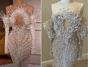C2024-DChristian - Replica of VALDRIN SAHITI long sleeve pageant gown by Darius Cordell