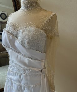 C2025-Aperkins - beaded sheer sleeve wedding dress by Darius Cordell